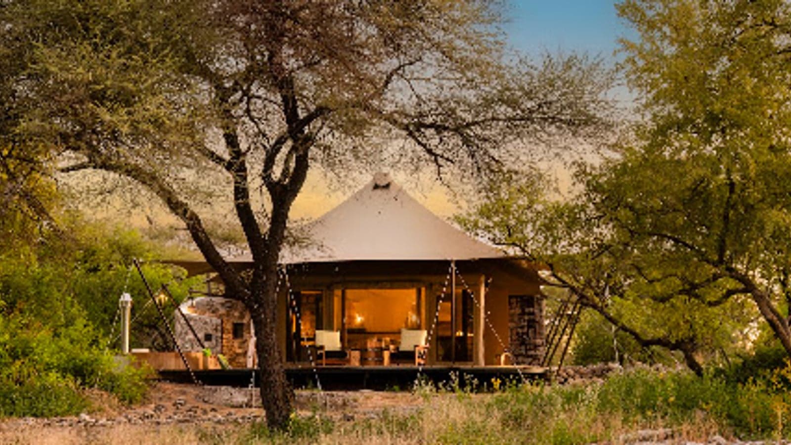A tented suite at dusk under a large tree at Onguma Tented Camp, Etosha